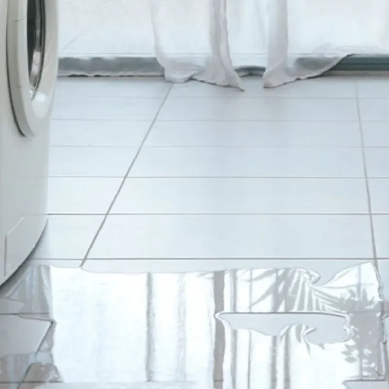 Appliance Leak Cleanup in Botetourt County, VA