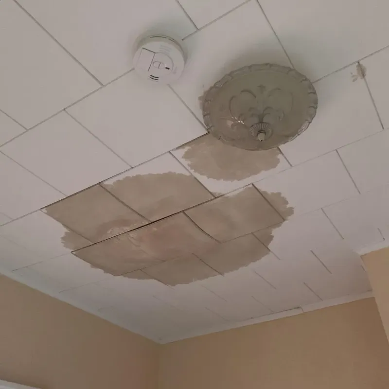 Ceiling Water Damage Repair in Botetourt County, VA