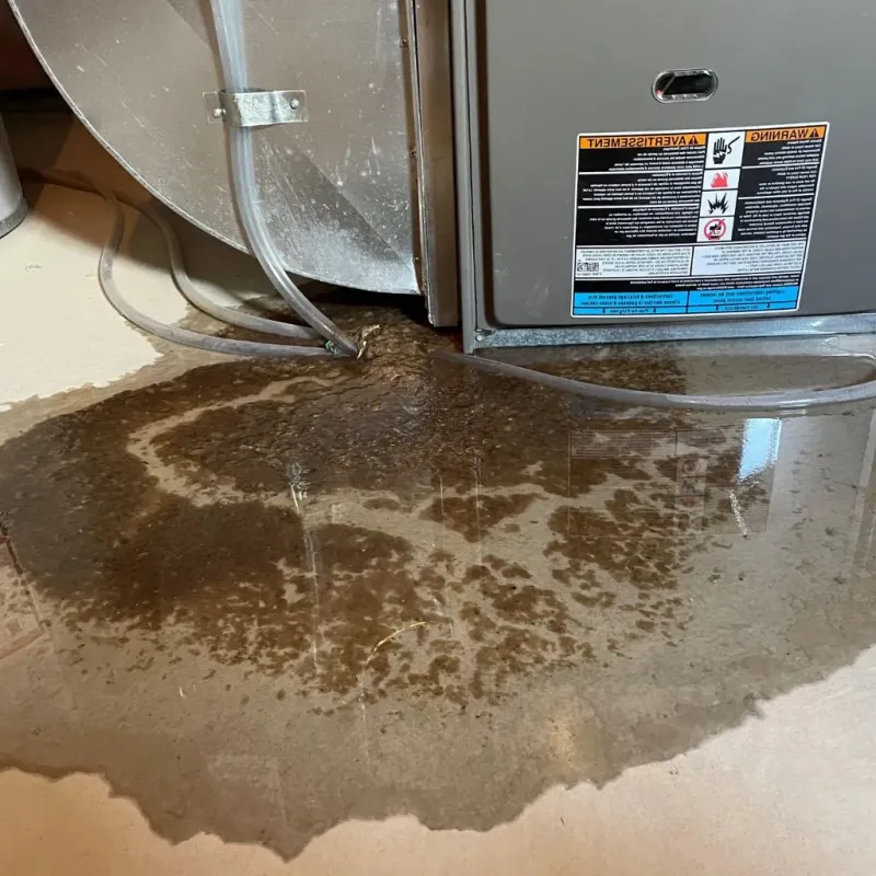Pipe Burst and Leak Restoration in Botetourt County, VA