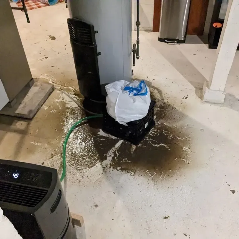 Sewage Backup Cleanup Service in Botetourt County, VA